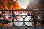 Amsterdam Historical City Bike Tour, Amsterdam, Bike & Mountain Bike Tours