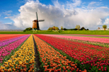Holland in One Day Sightseeing Tour, Amsterdam, Day Trips
