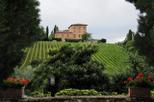 Small Group Chianti Wine Region Day Trip from Florence