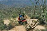 U-Drive ATV Tour in the Sonoran Desert