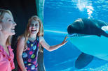 Save 25%: SeaWorld® Orlando Ticket by Viator
