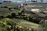 The Piemonte wine country