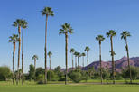 Save 10%: Palm Springs and Outlet Shopping Day Trip from Los Angeles by Viator