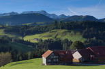 Save 12%: Zurich Super Saver: Swiss Countryside Day Trip plus Zurich Highlights Tour by Viator