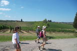 Tuscany Hiking Tour from Florence Including Wine Tasting and Lunch