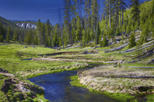 Yellowstone National Park Small-Group Wildlife Safari by Jeep