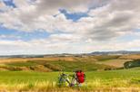 Best Tuscan Country Bike Tour from Florence Including Wine and Olive Oil Tastings