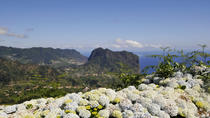 Madeira Tours, Travel & Activities