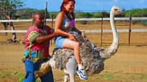 Curacao Family Friendly Tours