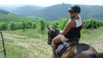 Horse Riding In Chianti Day Trip From Florence