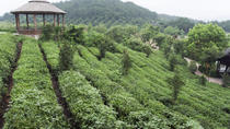 Hangzhou Multi-Day & Extended Tours
