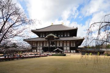 Kyoto Day Trips & Excursions