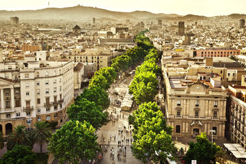 Private Tour: Barcelona Half-Day Sightseeing Tour