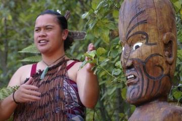 Rotorua Cultural & Theme Tours