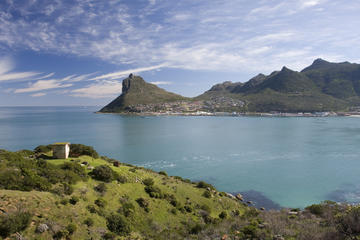 Day Trips & Excursions from Cape Town