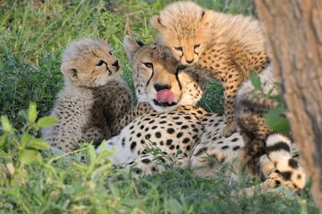 Kruger National Park Outdoor Activities