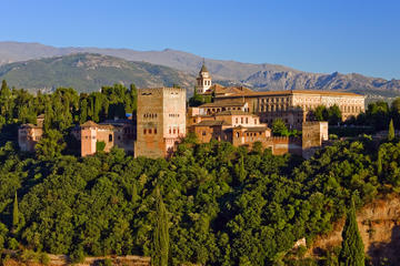 Alhambra Half-Day Tour and Private Alhambra Sightseeing Flight