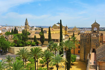 Cordoba Day Trip from Seville Including Skip-the-Line Entrance to Cordoba Mosque and Optional Tour of Carmona