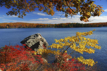 Picture of Overnight Fall Foliage Tour from NY City