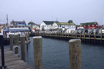 Picture of The Hamptons, Sag Harbor and Outlet Shopping Day Trip from NYC