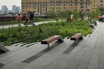 Picture of NY High Line Park Walking Tour