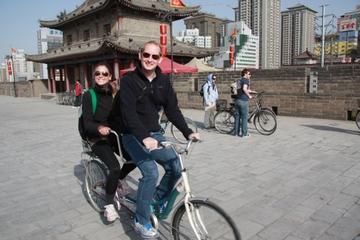 Xi'an Small-Group Walking and Cycling Tour - Xian | Viator