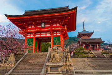 Kyoto Tours Travel & Activities