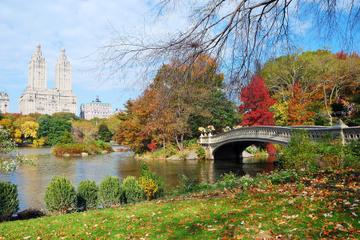Picture of Highlights of Central Park Walking Tour