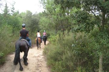 Horseback Riding Tour in Serralada Litoral Natural Park from Barcelona