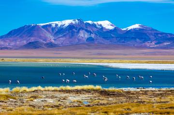 ALL San Pedro de Atacama Tours, Travel & Activities