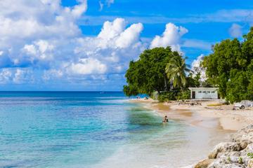 ALL Barbados Tours, Travel & Activities