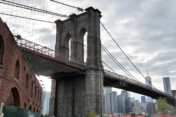 Picture of Brooklyn Walking Tour: Brooklyn Bridge, DUMBO & Brooklyn Height