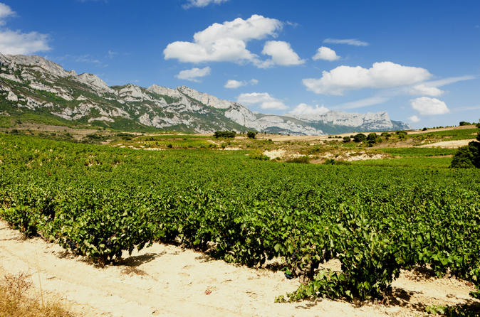 Vitoria and the Rioja Wine Region
