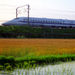 3-Day Mt Fuji, Kyoto and Nara Rail Tour by Bullet Train from Tokyo