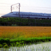 3-Day Mt Fuji, Kyoto and Nara Rail Tour by Bullet Train from Tokyo