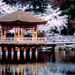 Kyoto and Nara Day Tour including Golden Pavilion and Todaiji Temple from Osaka