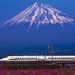 Kyoto Rail Tour by Bullet Train from Tokyo