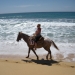 Los Cabos Shore Excursion: Horseback Riding Adventure