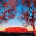 2-Day Uluru (Ayers Rock), Camel Farm and Kata Tjuta Trip from Alice Springs