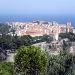 Private Half-day Trip: Monaco and Monte Carlo from Nice by Minivan