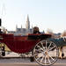 Romantic Vienna Combo: Vienna Card, Horse and Carriage Tour, Belvedere Palace and Candlelight Dinner