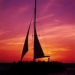 Palm Pleasure Sunset Sail