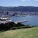 Wellington City and Coastline Tour