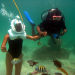 Punta Cana Seaquarium Underwater Adventure