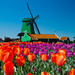 Amsterdam Super Saver 3: City Tour, Zaanse Schans Windmills, Volendam and Marken Day Trip