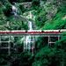 Kuranda Scenic Railway Day Trip from Port Douglas