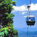Skyrail Rainforest Cableway Day Trip from Port Douglas