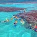Cades Reef Snorkel Cruise