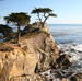 Monterey, Carmel and 17-Mile Drive Day Trip from San Francisco