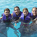 Nuevo Vallarta Family Dolphin Experience